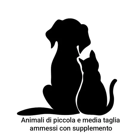 Pensión Arra - & 3*