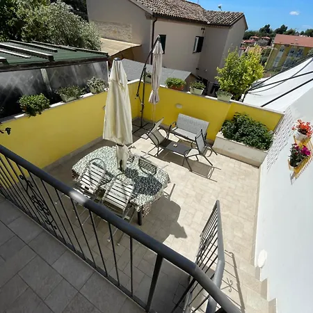 Guest house Arra - &