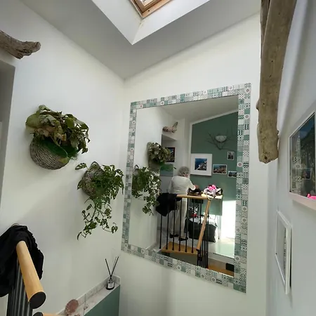 Guest house Arra - &